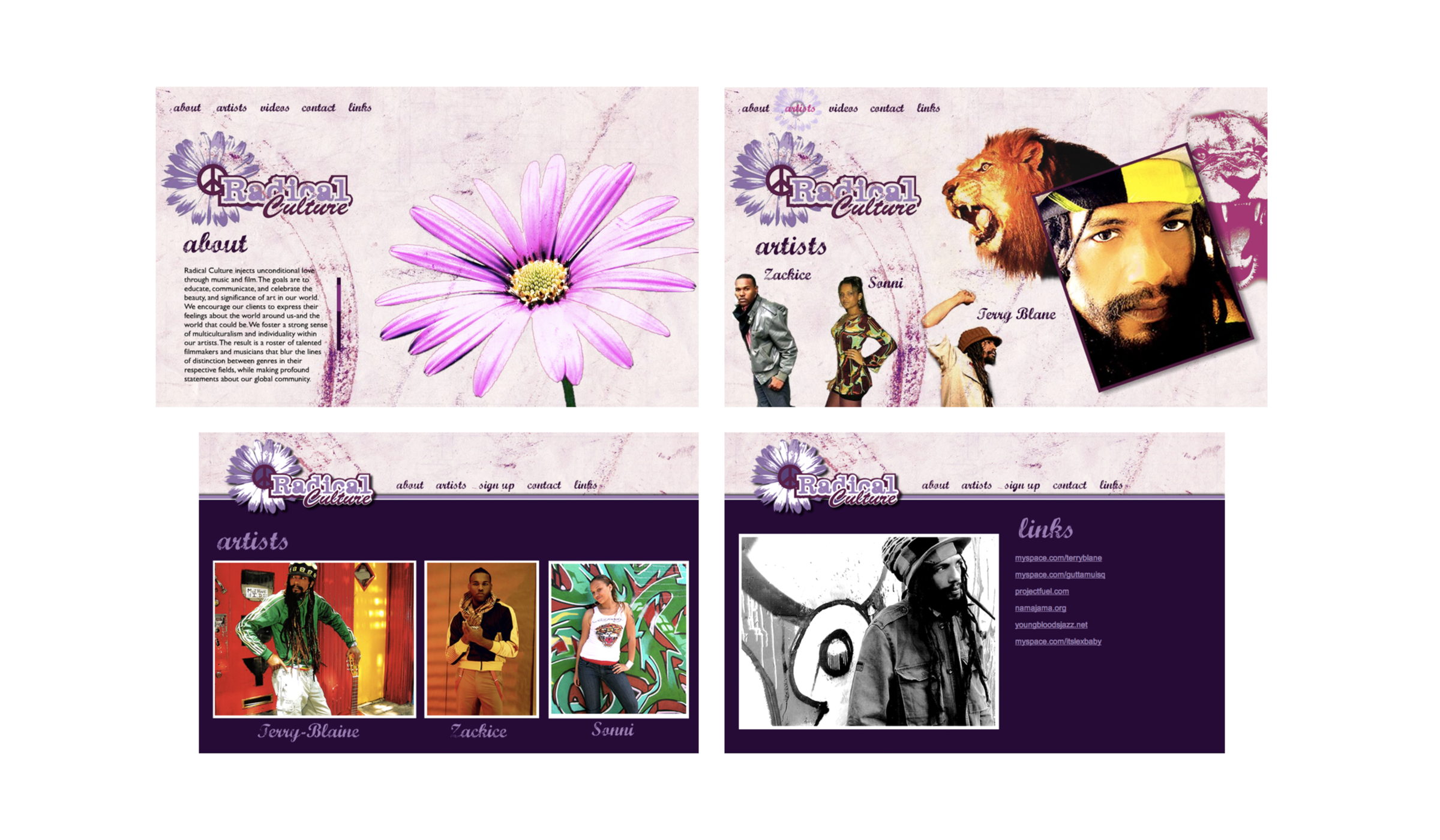 Radical Culture Website Design