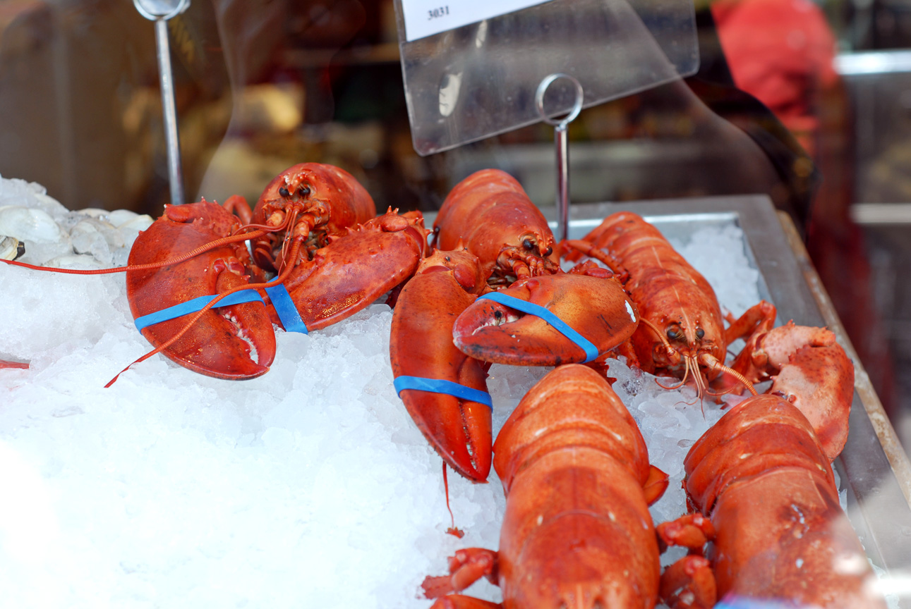 Urban Lobsters